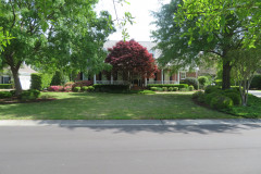 Before-Front-yard